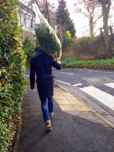 sam carrying the tree