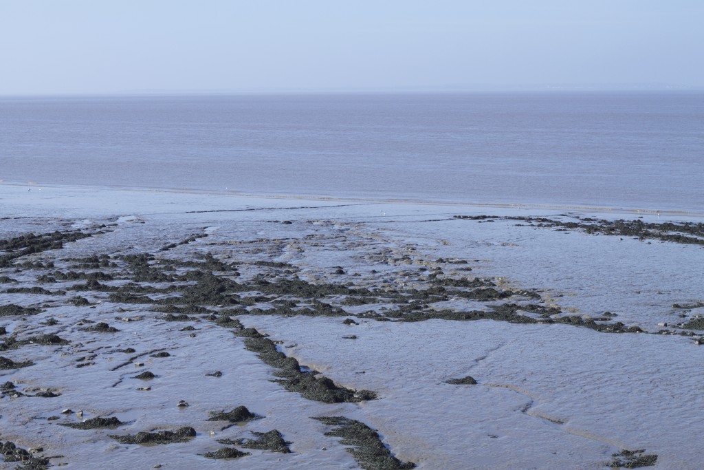 water at clevedon