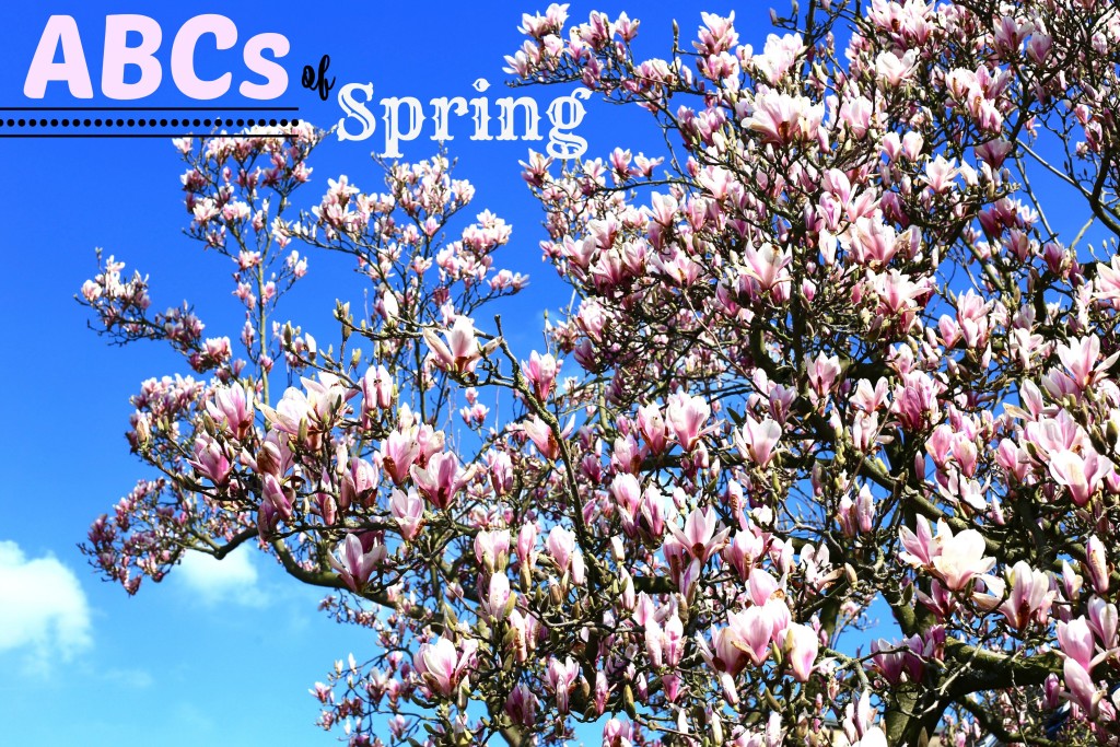 abcs of spring