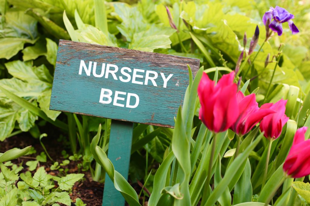 nursery bed