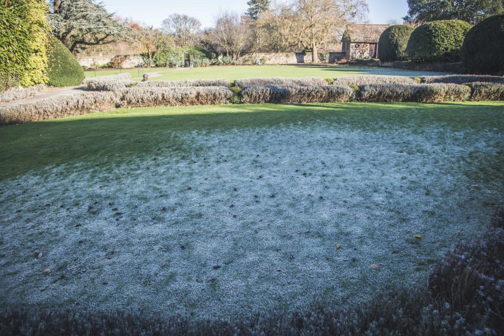frosty-grounds