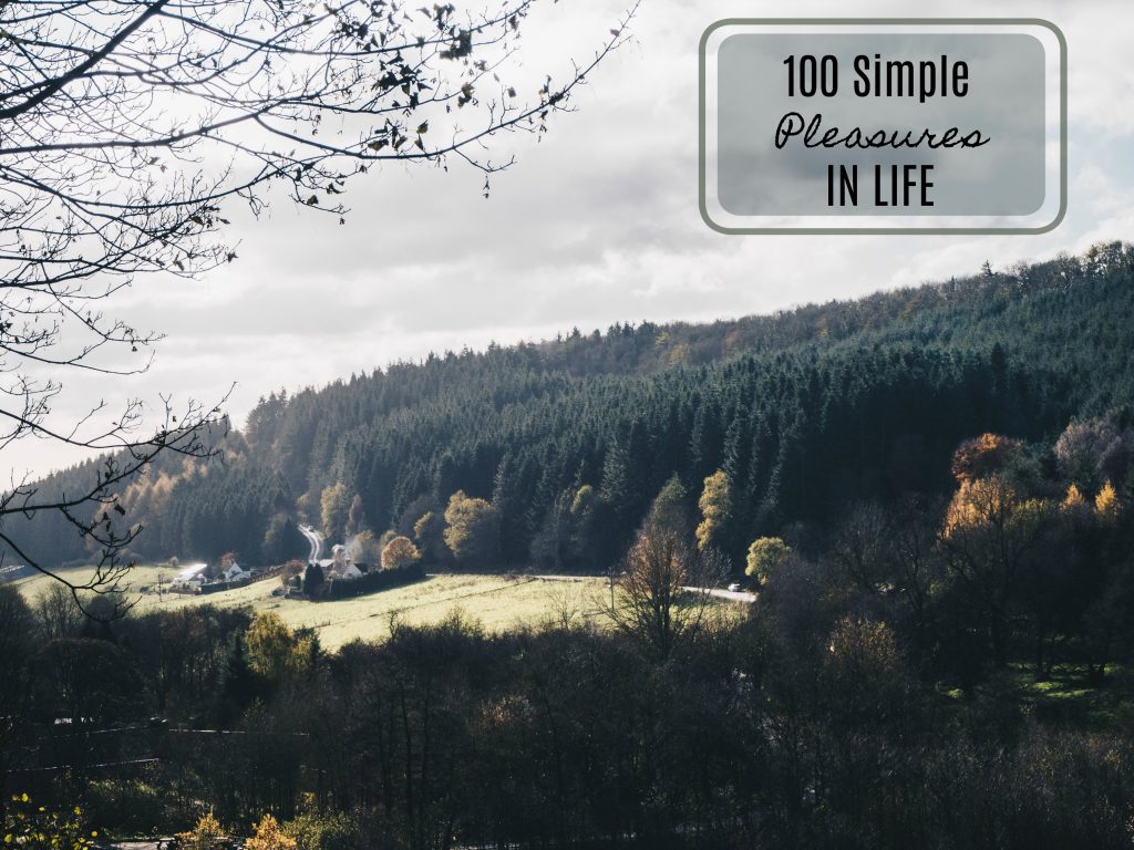 100 simple pleasures in life