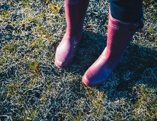 frozen ground and purple wellie boots