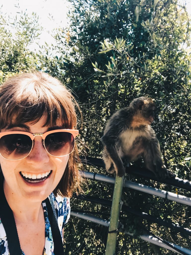 macaque and me 