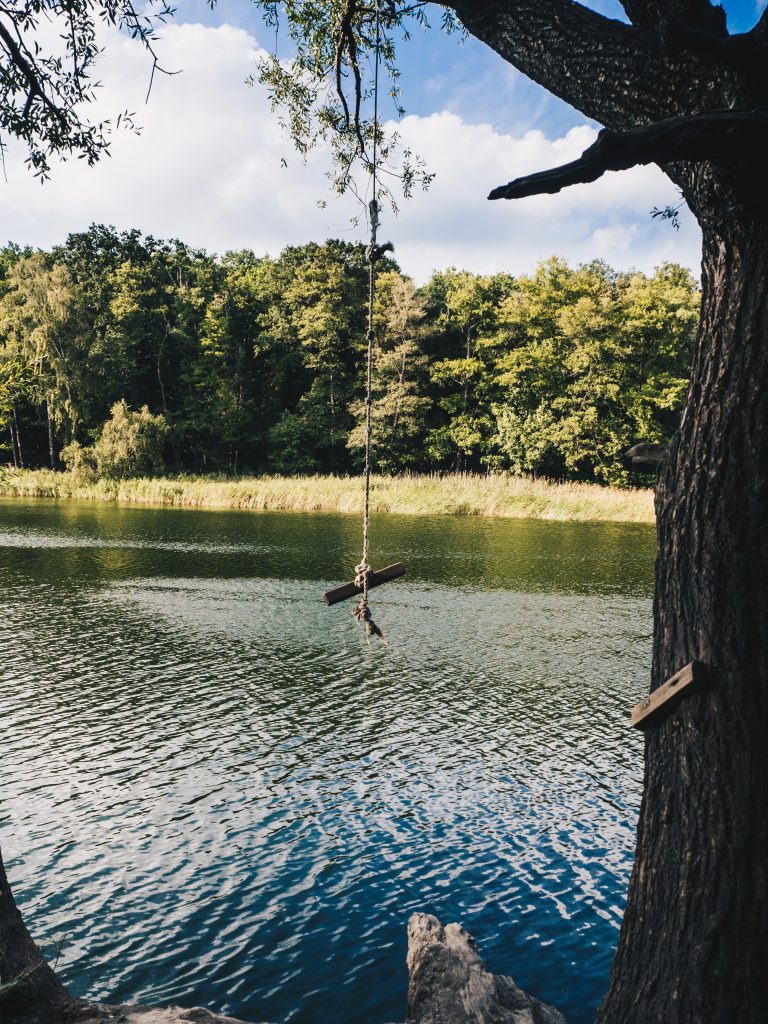 lake swing