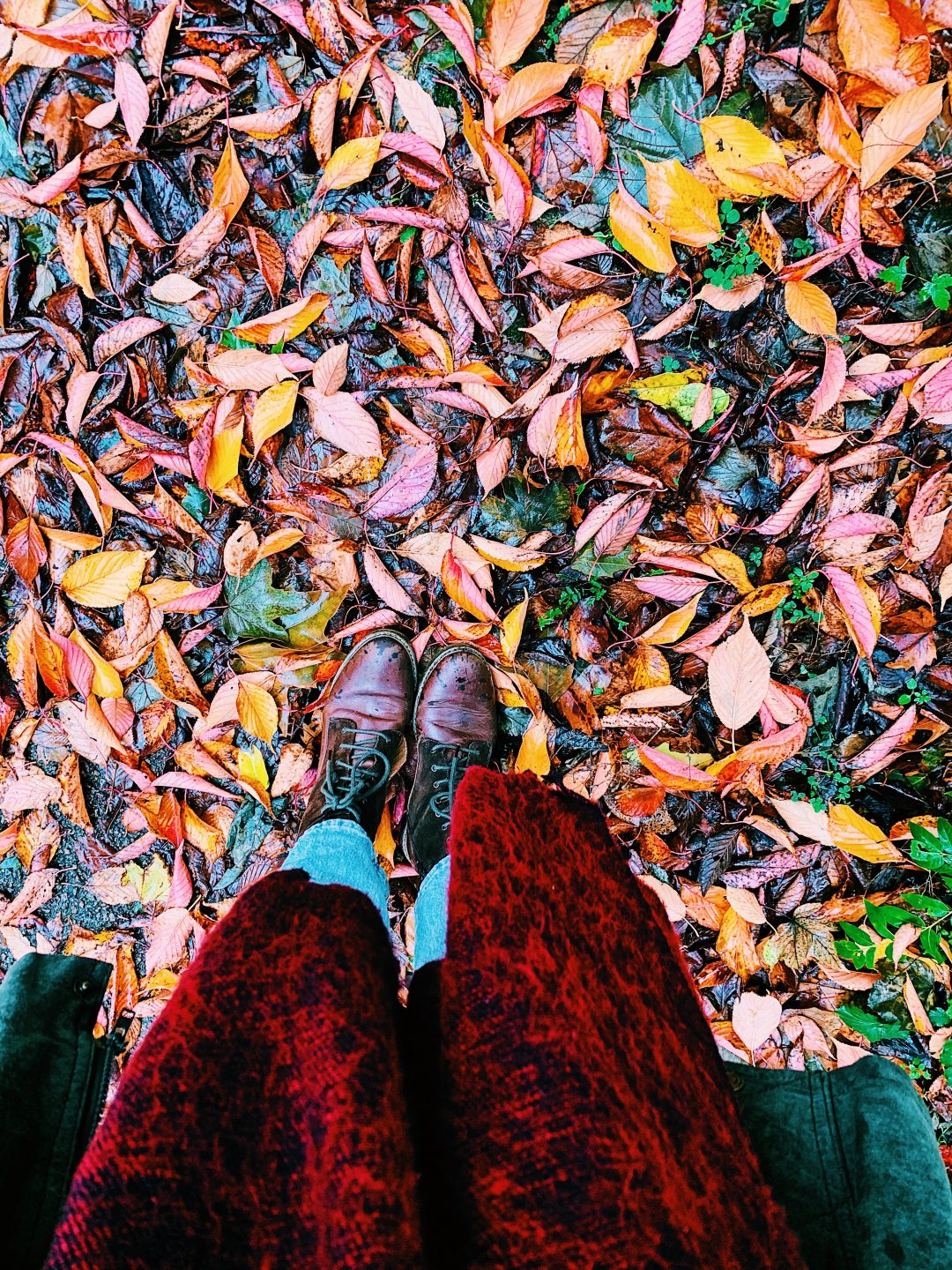 an image of the dangling end of a burgundy scarf, brown boots and autumn leaves